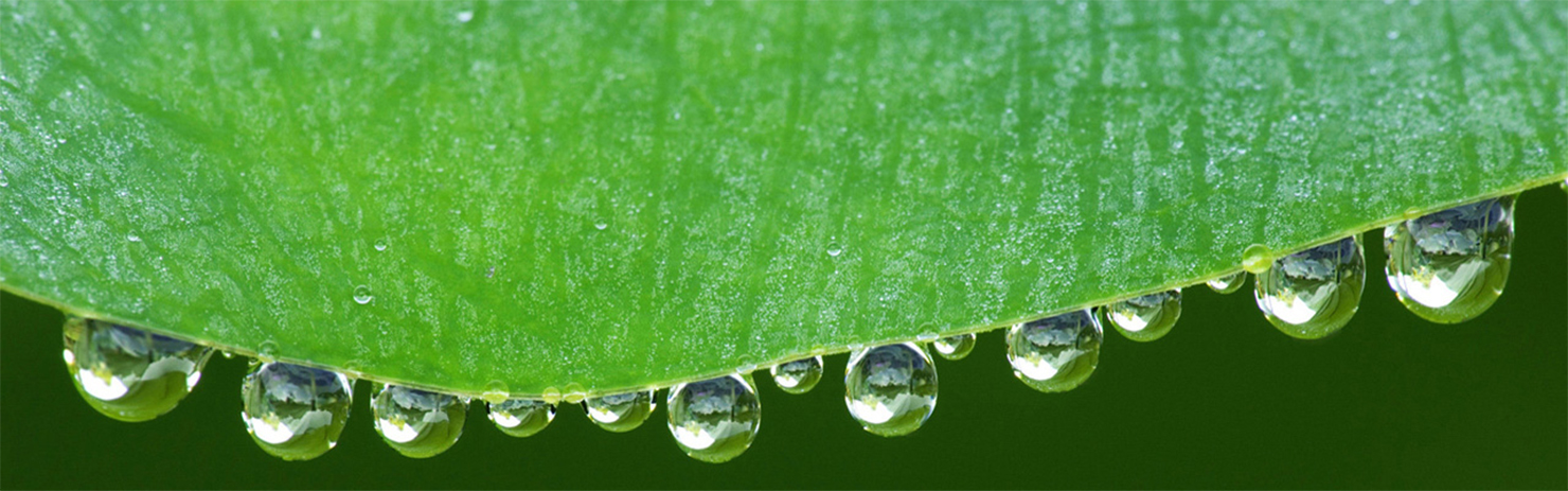 取之天然：用于自然：植物保?。汉椭C植保